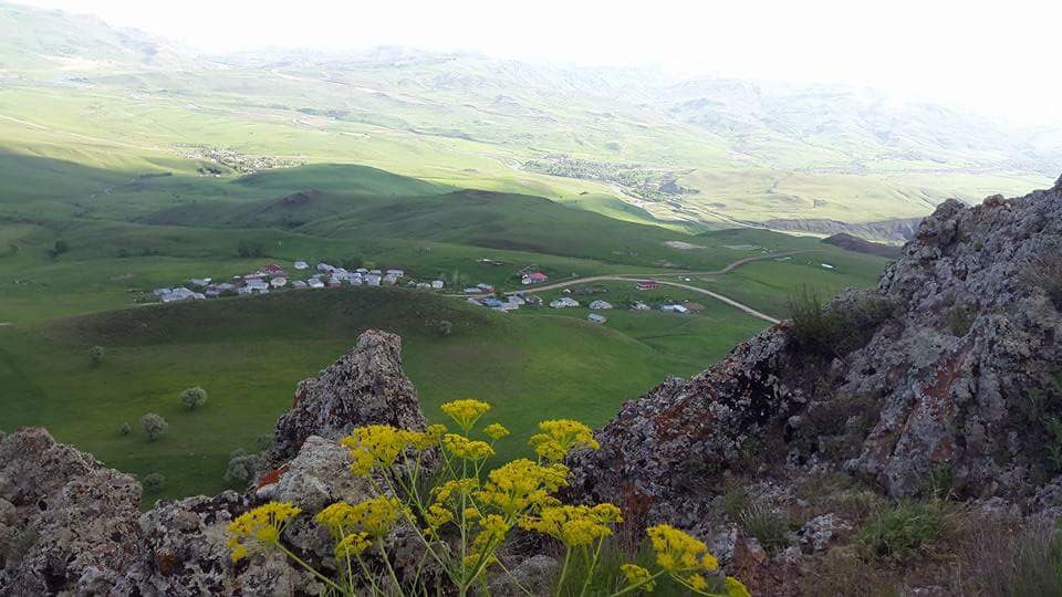 baltas
