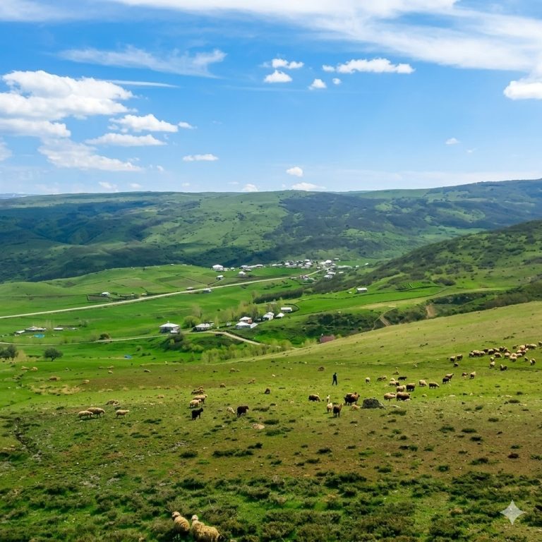 civarek