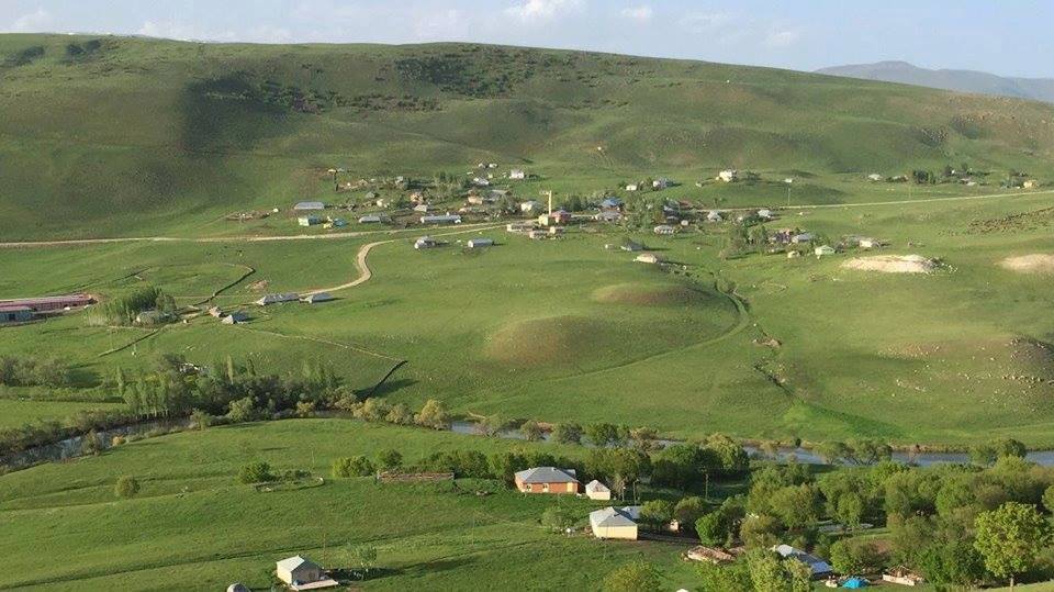 daliöz
