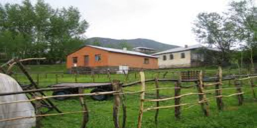 diktepeler