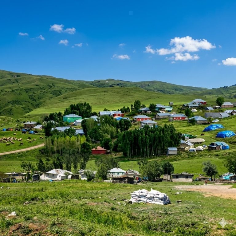 kayalikaya