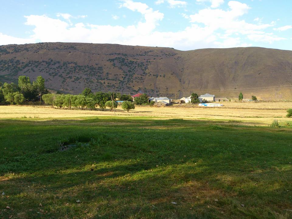 kolan