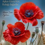 hasan-dede