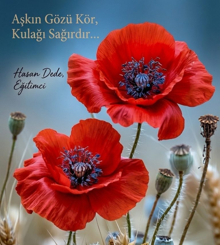hasan-dede